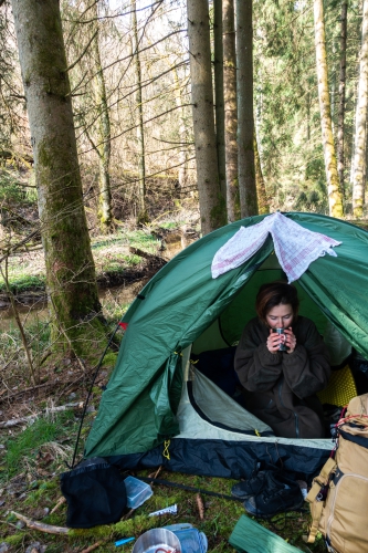 Waking up in the forest 